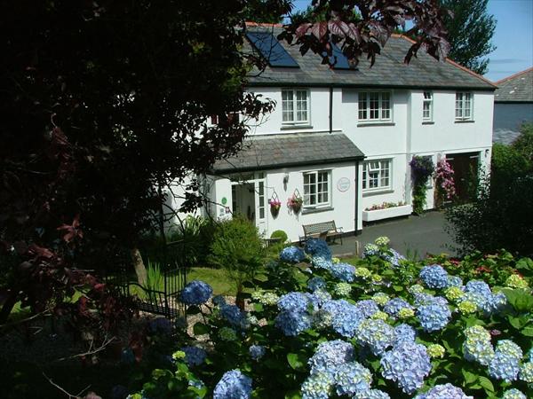 Orchard Lodge, Rooms with breakfast,  Boscastle