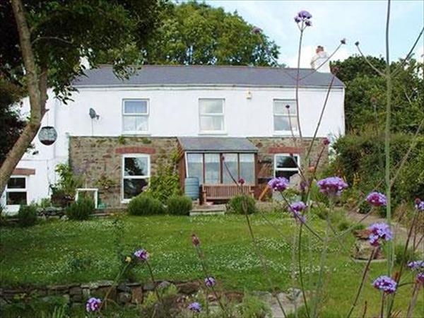 Vine Cottage B&B,  Par